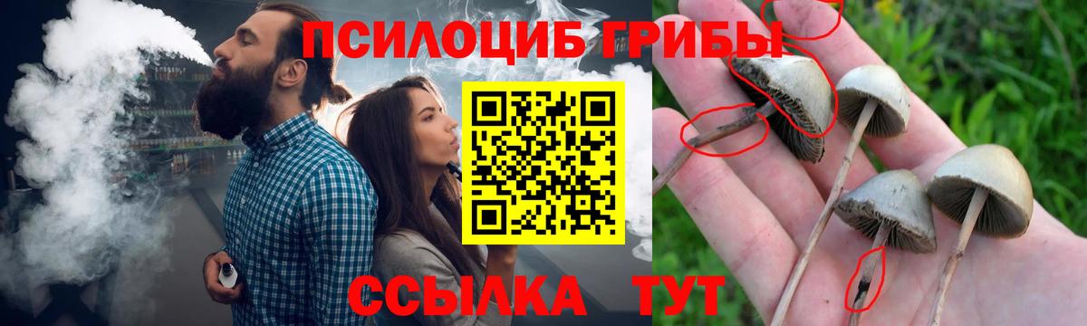 Гуково  Галлюциногенные грибы мухоморы  Вход с VPN 