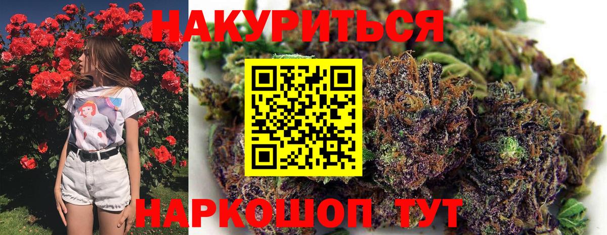 Конопля планчик Гуково